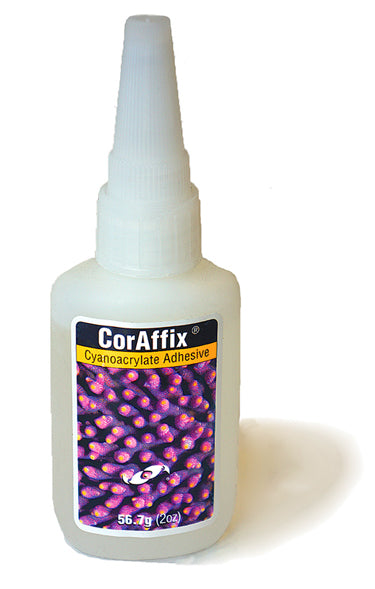 Two Little Fishes CorAffix Coral Glue 2oz