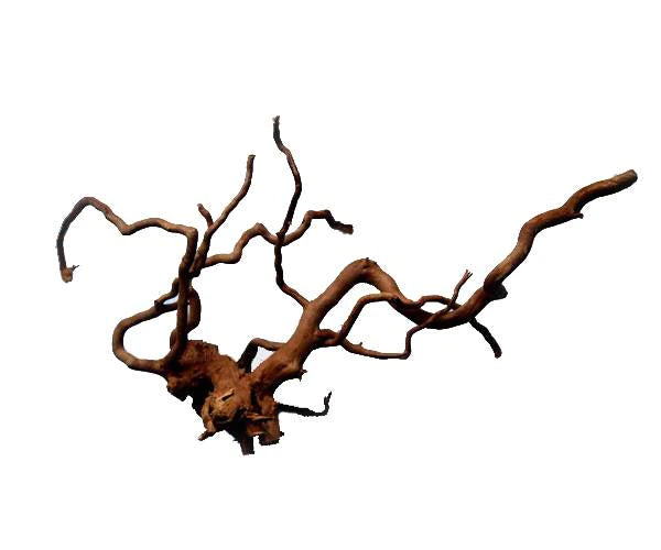 Tideline 10"-16" Black Spider Wood Medium