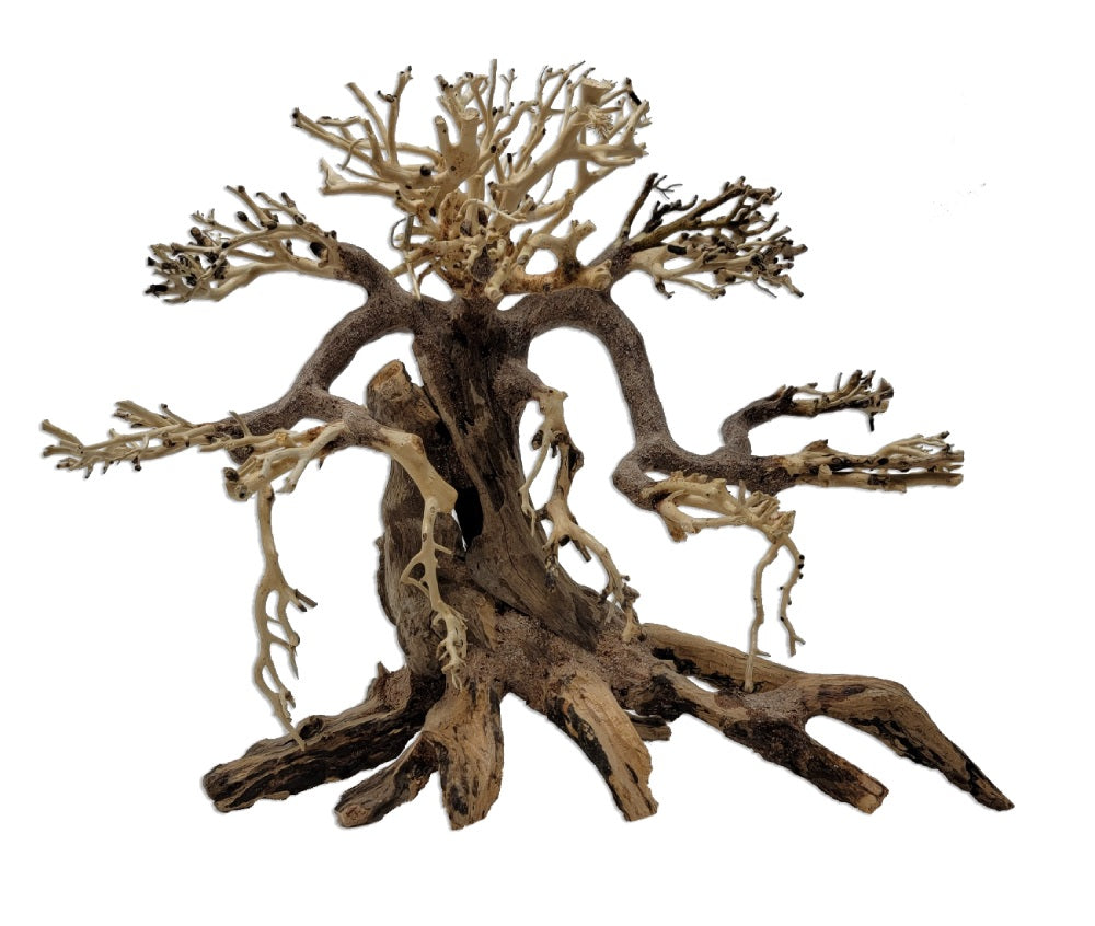 Tideline Savanna Bonsai Lg