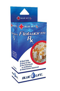 Blue Life Flatworm Rx