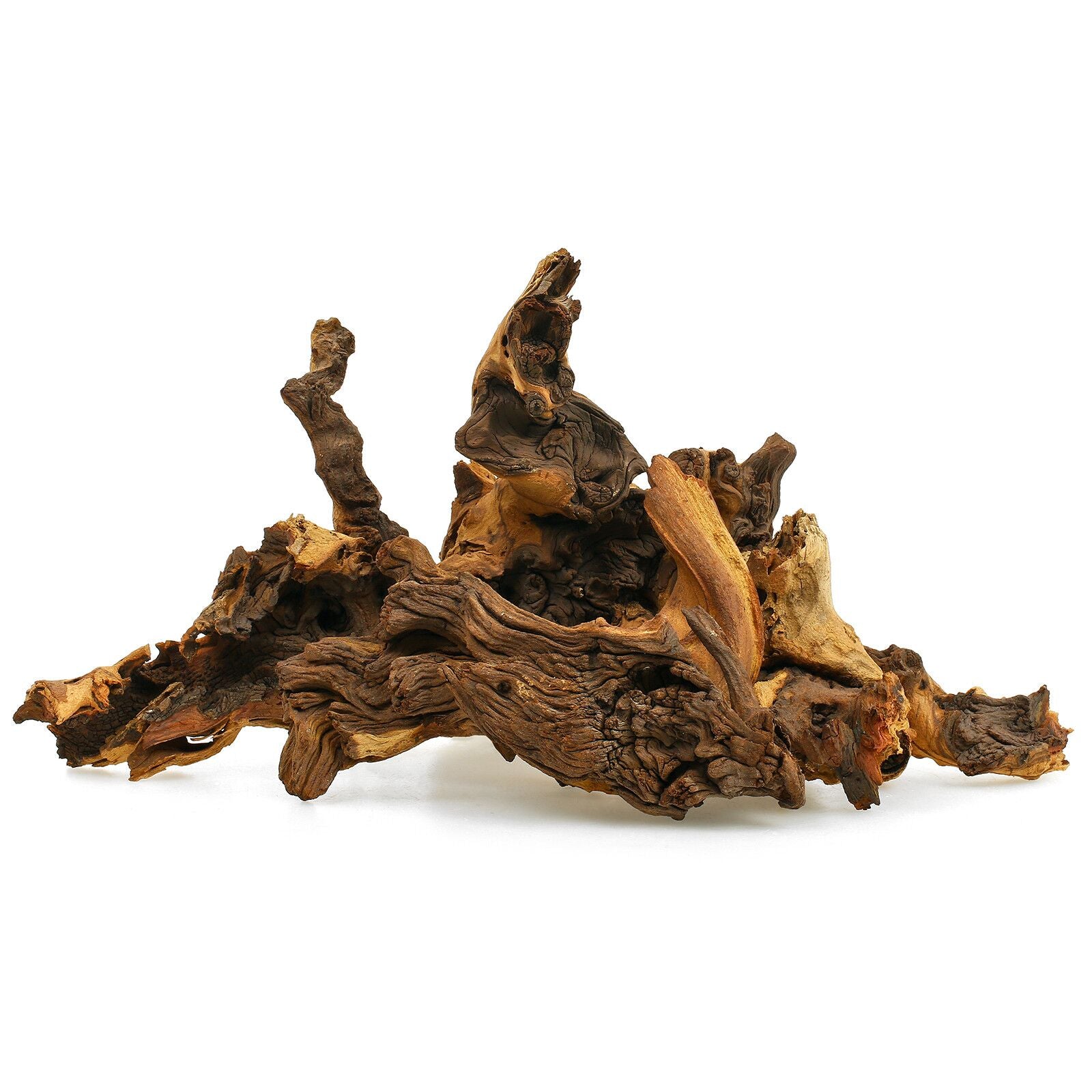 Tideline Mopani Wood Thick Sm (12"-16")