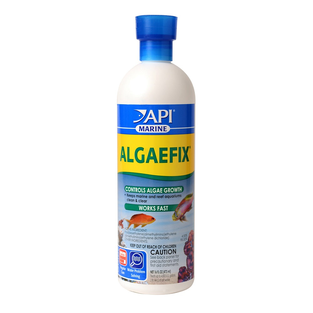 API Marine Algaefix 16oz