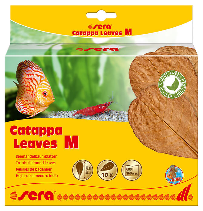 Sera Catappa Leaves (M) 18cm / 10pcs.