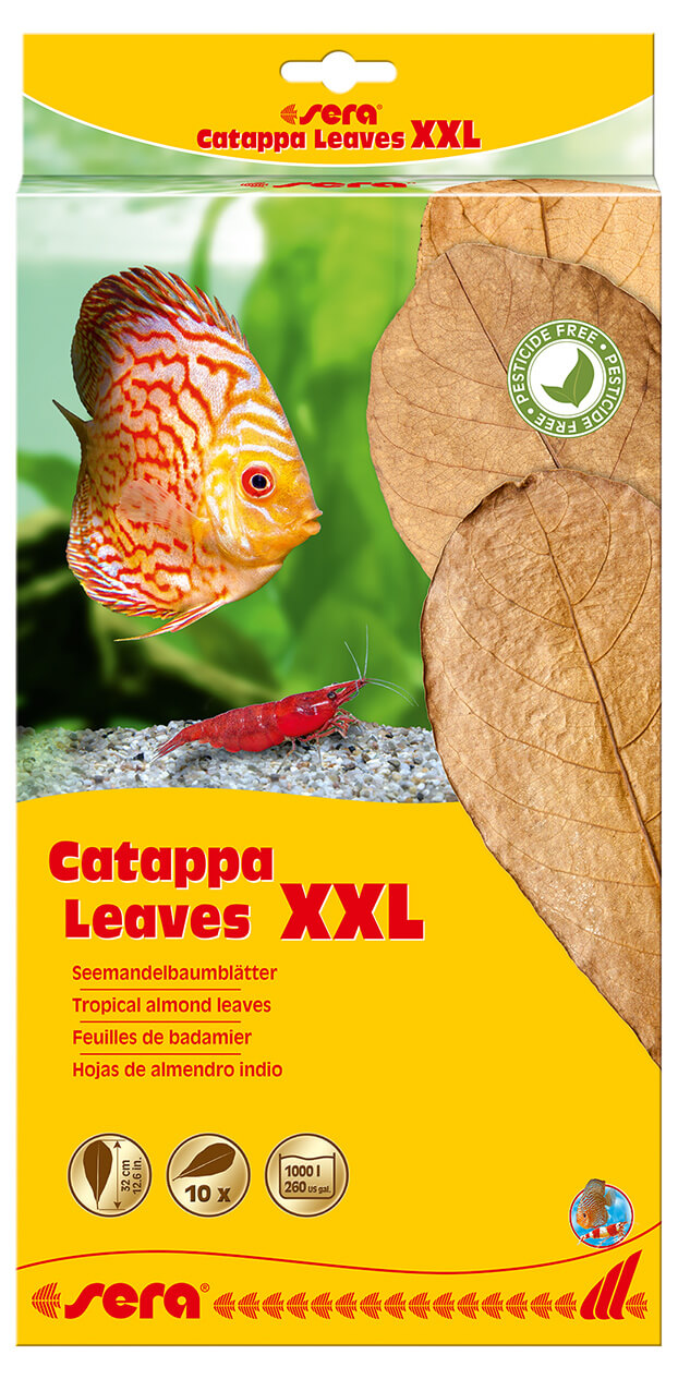 Sera Catappa Leaves (XXL) 32cm / 10pcs.