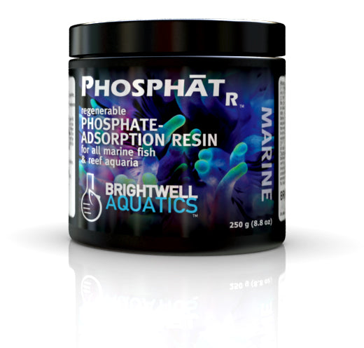 Brightwell PhosphatR 175ml