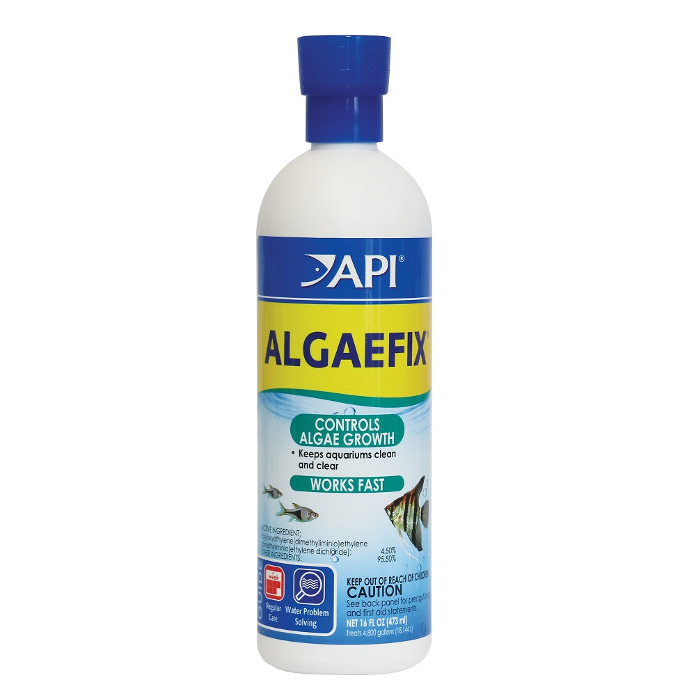 API Algaefix 16oz